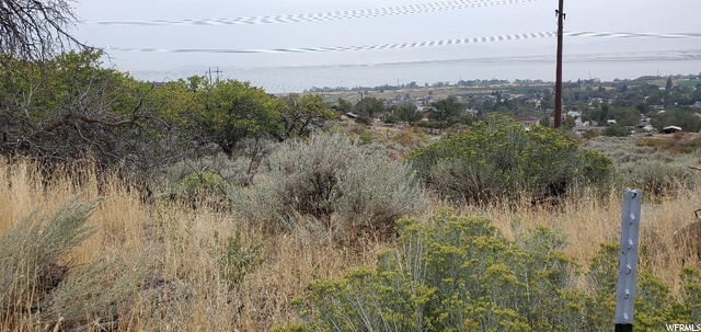 165 S Haul Rd E, Willard, UT 84340 — photo 7