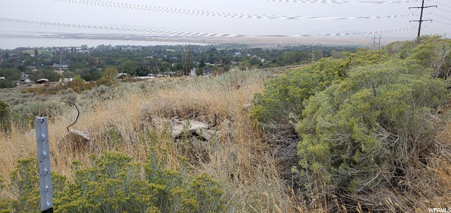 165 S Haul Rd E, Willard, UT 84340 — photo 8
