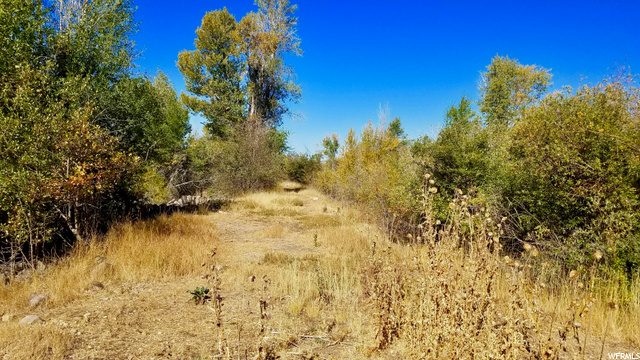 3820 S 1000 E, Francis, UT 84036 — photo 7