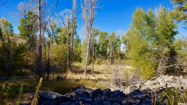 3820 S 1000 E, Francis, UT 84036 — photo 8