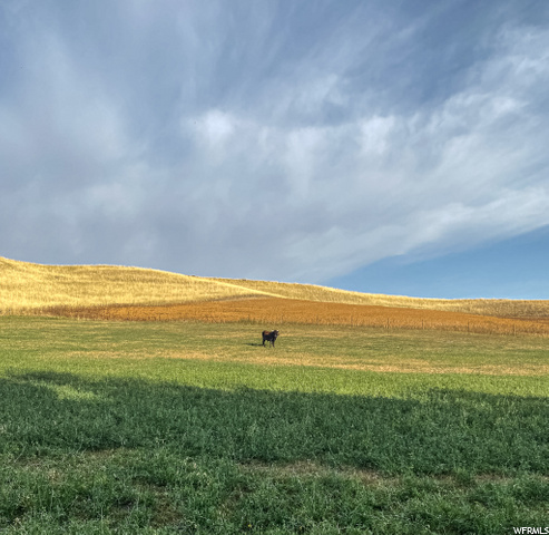 176 W 10500 N, Clarkston, UT 84305 — photo 2