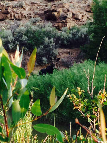 #3, Fruitland, UT 84027 — photo 12