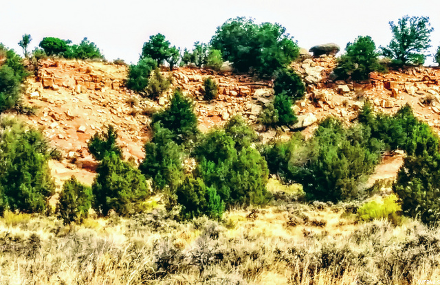 #32, Fruitland, UT 84027 — photo 6
