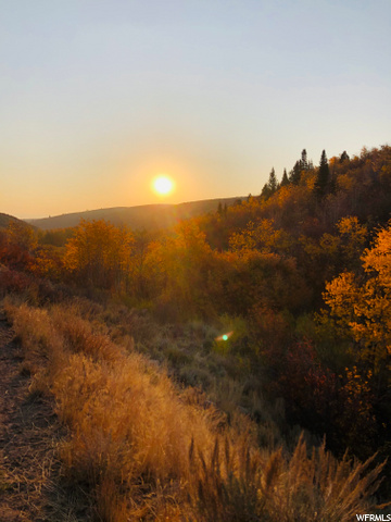 #1, Paris, ID 83261 — photo 10