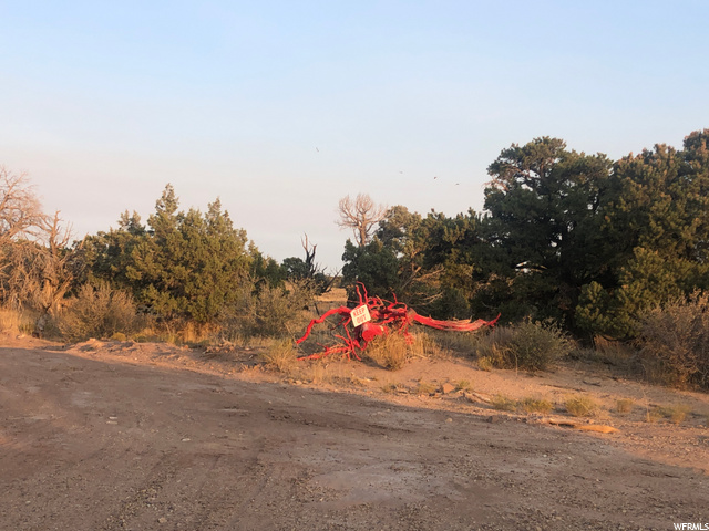 #49, Duchesne, UT 84021 — photo 5