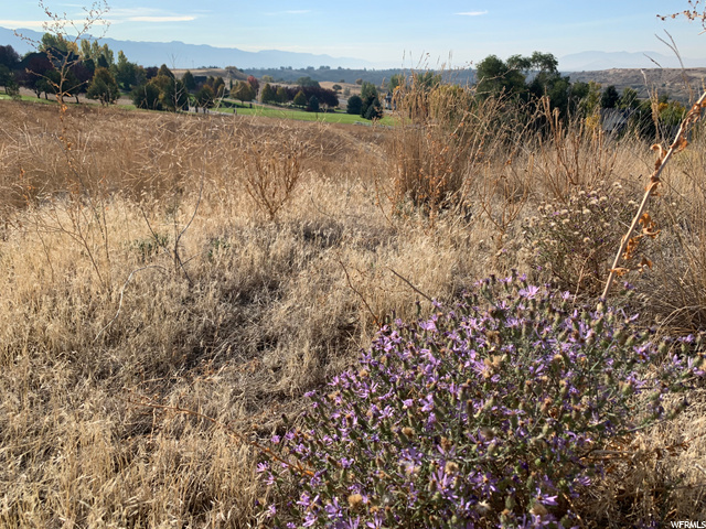 #7, Preston, ID 83263 — photo 8