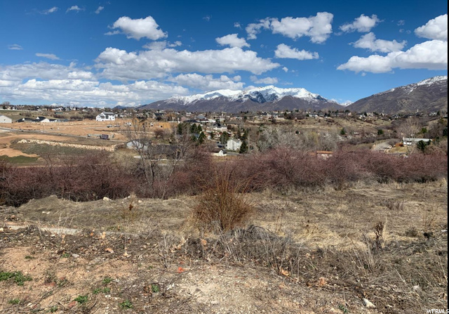 1369 E Heather Dr, Layton, UT 84040 — photo 8