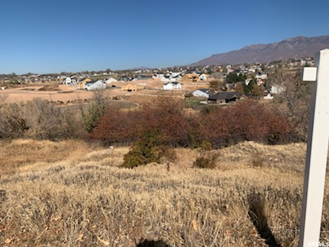 1369 E Heather Dr, Layton, UT 84040 — photo 5