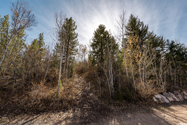 135 Hidden #135, Oakley, UT 84055 — photo 5