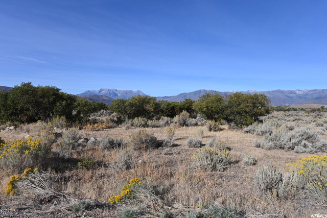 1122 S 5700 E #2, Heber City, UT 84032 — photo 5