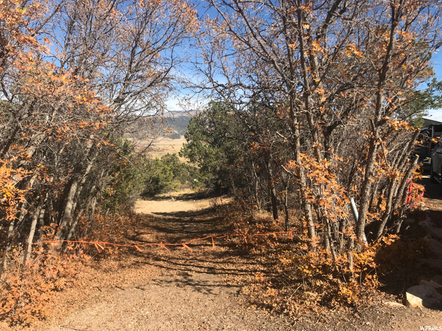 1002 Juniper Cir, Tabiona, UT 84072 — photo 5