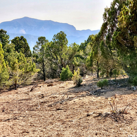 #40, Kanarraville, UT 84742 — photo 9