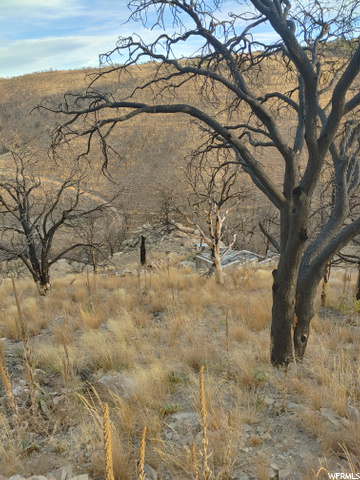 #71, Fruitland, UT 84027 — photo 9