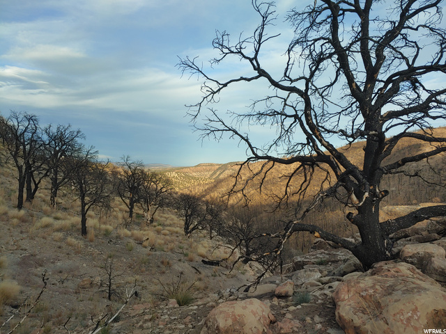 #71, Fruitland, UT 84027 — photo 4