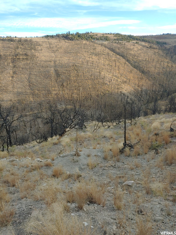 #71, Fruitland, UT 84027 — photo 10