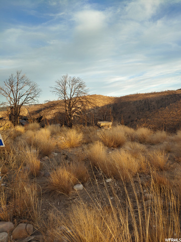 #71, Fruitland, UT 84027 — photo 12