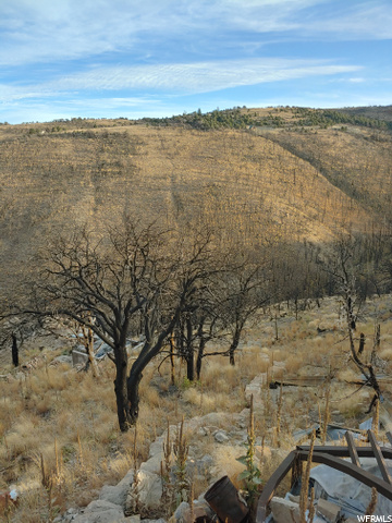 #71, Fruitland, UT 84027 — photo 3