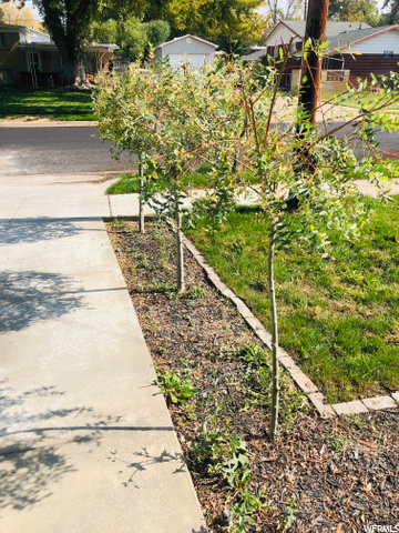 5691 S 2650 W, Roy, UT 84067 — photo 10
