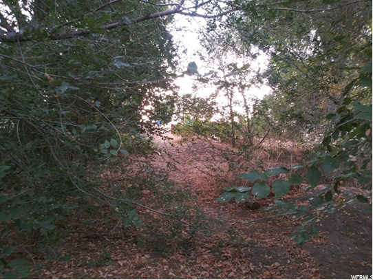 100 E 520 S, Payson, UT 84651 — photo 2