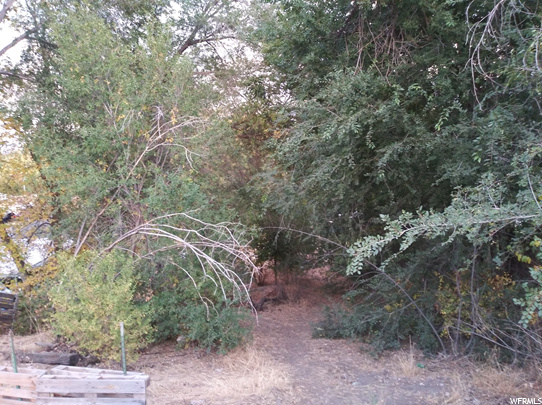 100 E 520 S, Payson, UT 84651 — photo 4