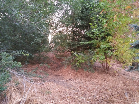 100 E 520 S, Payson, UT 84651 — photo 3