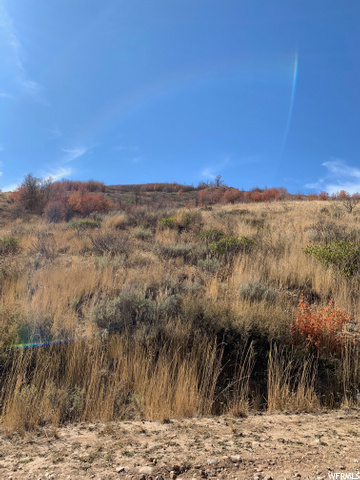 #35, Huntsville, UT 84317 — photo 4