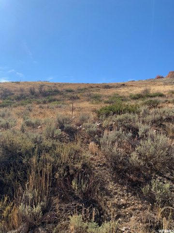 #35, Huntsville, UT 84317 — photo 6
