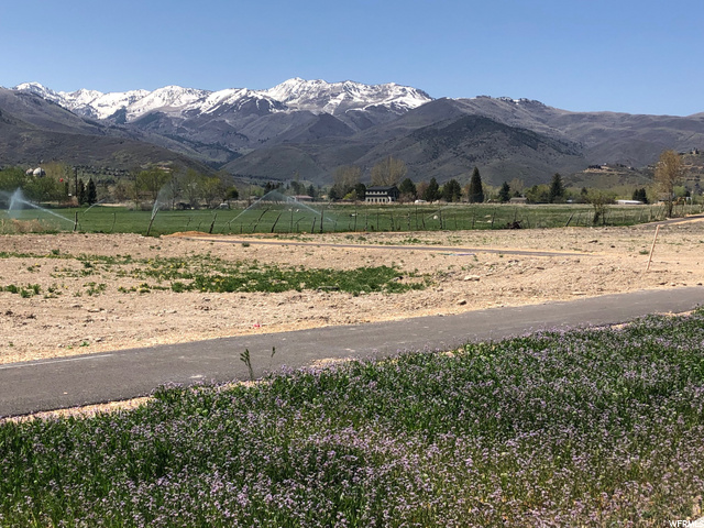 334 E 230 N #115, Midway, UT 84049 — photo 5