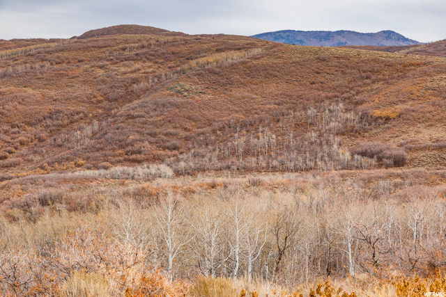 Kamas, UT 84036 — photo 9