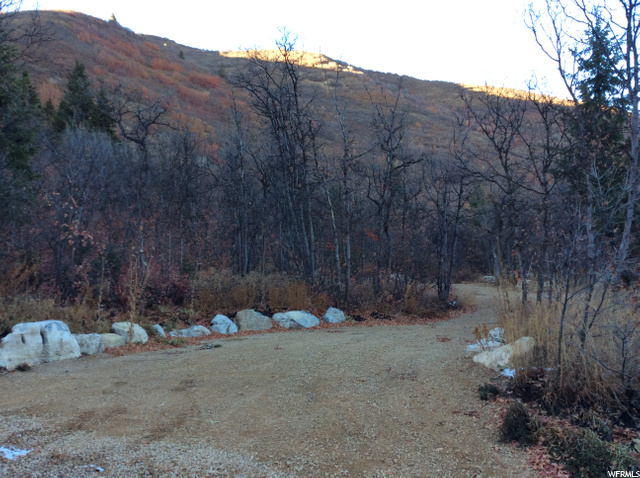 Midway, UT 84049 — photo 5