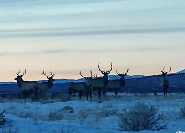 #6, Duchesne, UT 84021 — photo 4