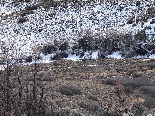 Wanship, UT 84017 — photo 9
