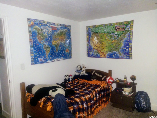 455 E 335 N, Mt Pleasant, UT 84647 — photo 10