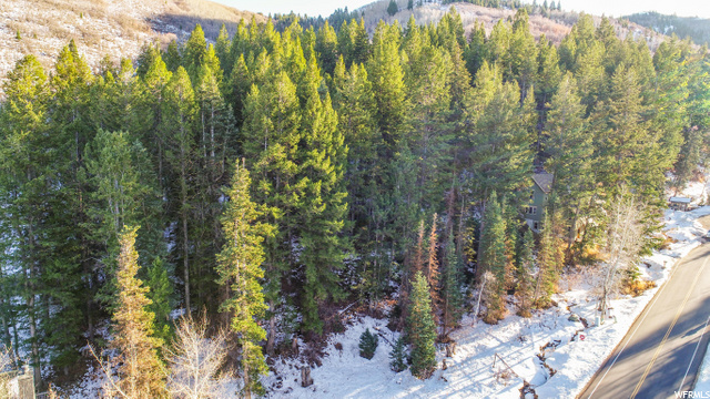 7044 N Pinebrook Rd, Park City, UT 84098 — photo 4