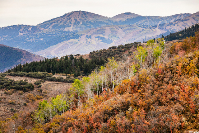 Your Dream Utah Property | $695,000 | 7827 Tall Oaks Dr Park City UT