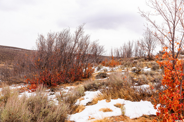 7272 Golden Bear Loop #83, Park City, UT 84098 — photo 5