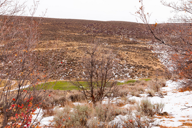 7272 Golden Bear Loop #83, Park City, UT 84098 — photo 4