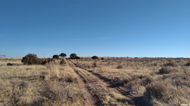 #20, Roosevelt, UT 84066 — photo 9