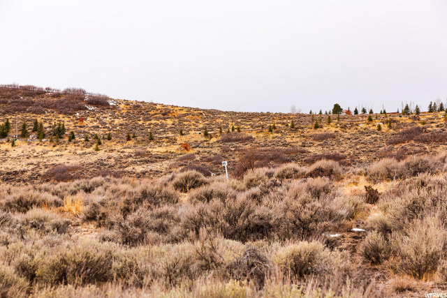 7175 Golden Bear Loop #96, Park City, UT 84098 — photo 7