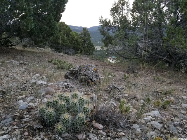 #18, Indianola, UT 84629 — photo 6
