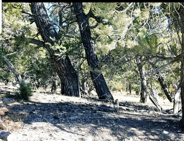 #33, Indianola, UT 84629 — photo 4