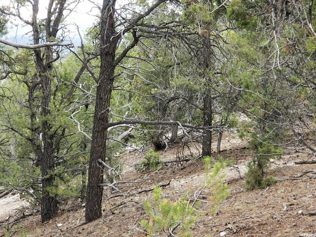 #33, Indianola, UT 84629 — photo 7