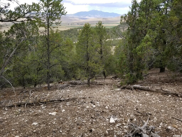 #34, Indianola, UT 84629 — photo 12