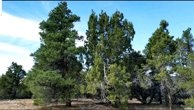 #140, Indianola, UT 84629 — photo 3