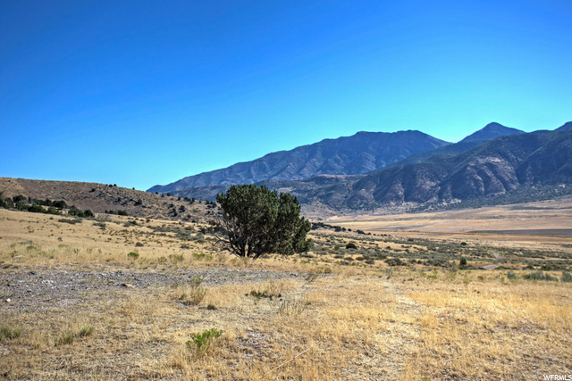 Mona, UT 84645 — photo 3
