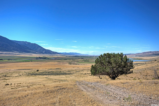 Mona, UT 84645 — photo 2