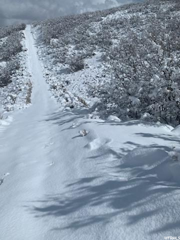 Peoa, UT 84061 — photo 7