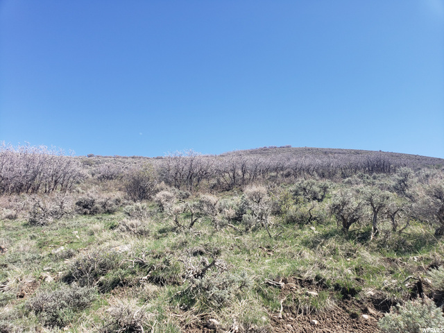 Peoa, UT 84061 — photo 11