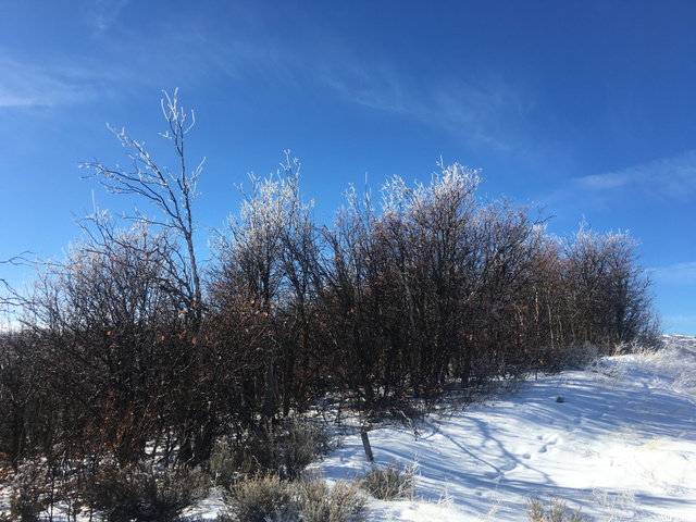 1290 E Lasso Trl #R-12, Hideout, UT 84036 — photo 3