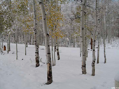 #266, Heber City, UT 84032 — photo 3